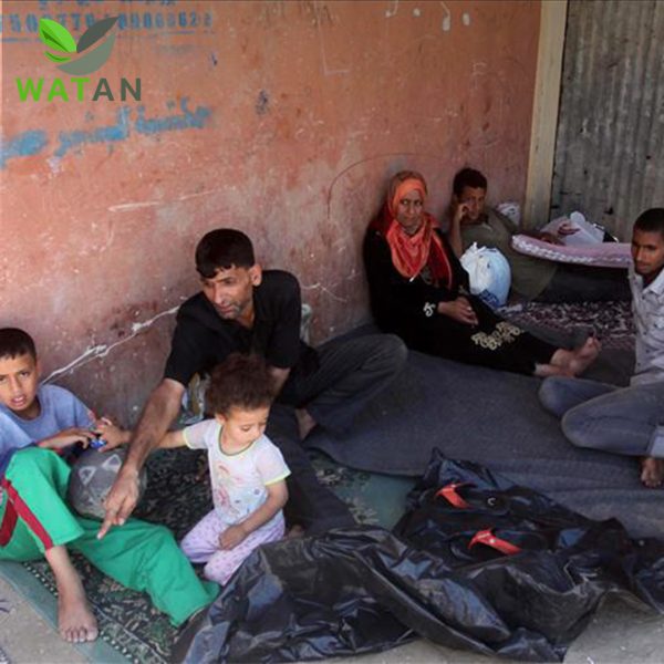 Monthly Donation of 80 USD