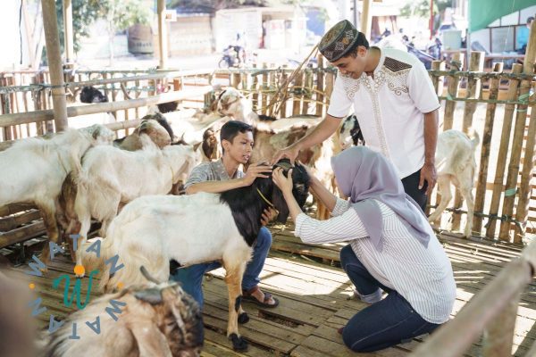 Qurbani Donation – Fulfill Your Sacrifice with a Sheep or Goat in Myanmar