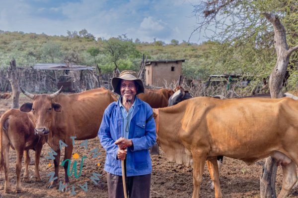 Qurbani Donation – Fulfill Your Sacrifice with a Whole Cow in Africa