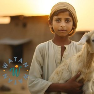 Qurbani-Spende – Bringe dein Opfer mit einem Schaf oder einer Ziege in Pakistan dar